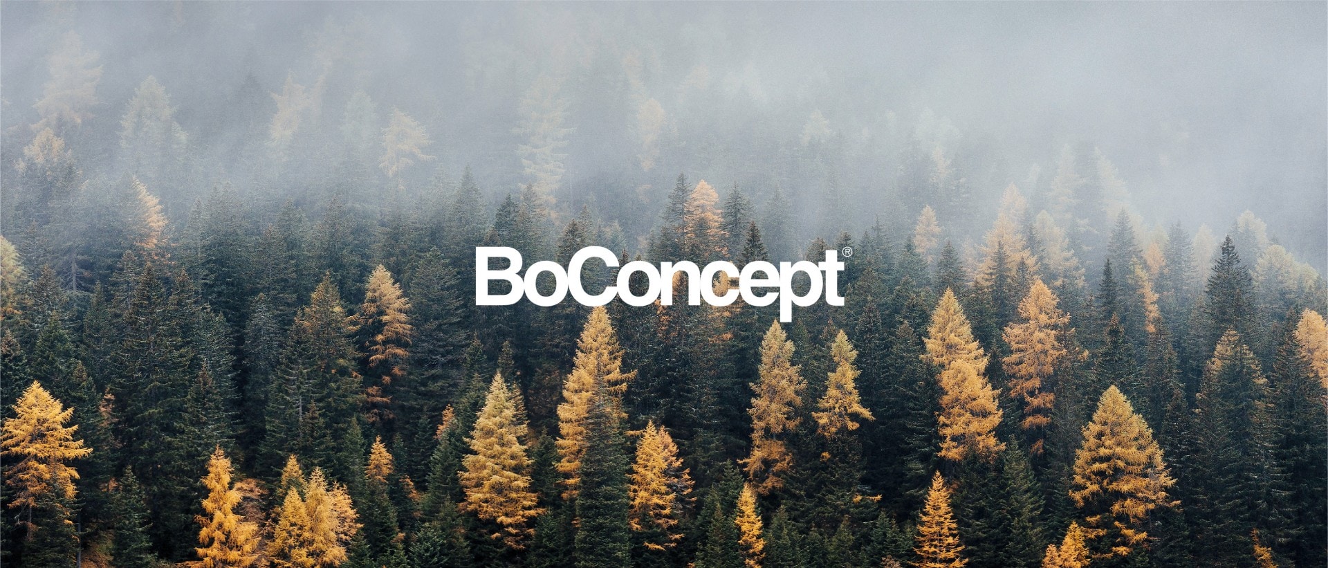 Emil Boye — BoConcept